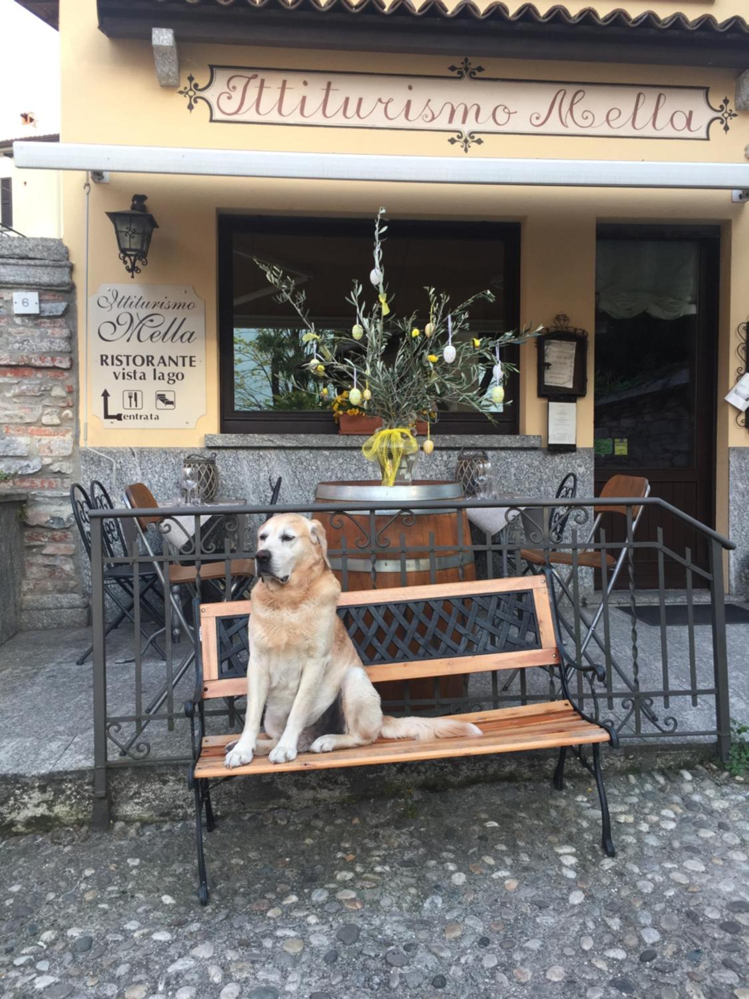 Mella Bellagio -La Corte - At The Lake With Parking Zewnętrze zdjęcie